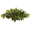 thumbnail image 1 of Pothos w/Rectangle Decorative Planter, 1 of 3