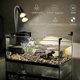 thumbnail image 2 of Turtle Heat Lamp 4-pack, 25/50/75w Uva Uvb Reptile Turtle Light Bulbs For Amphibian Tanks, Terrariums, And Cages, Works With Various Lamp Fixtures-goo, 2 of 4