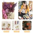 thumbnail image 3 of Flores secas artificiales coloridas pequeñas plantas florales secas Mini Ramos reales Likrtyny decoración del hogar accesorios de fotografía artesanía de arte, 3 of 7