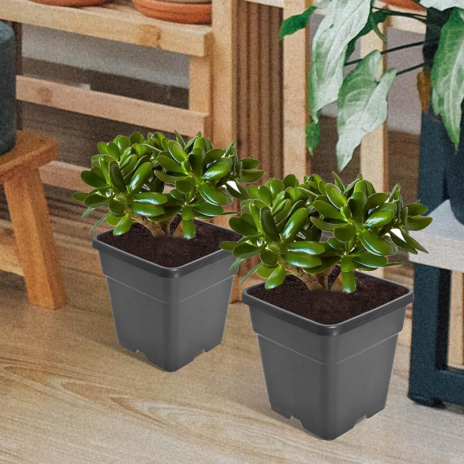 netuera 5 Pcs Plastic Planter Pots, 10 Gallon Black Flower Square Pot for Garden Yad Office with Drainage Hole