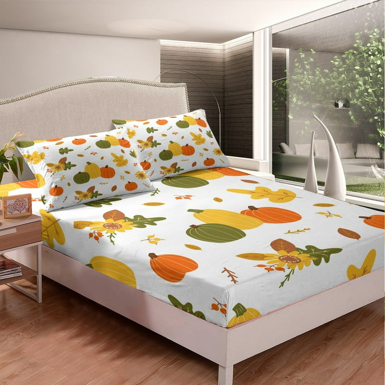 Autumn Succulent Pumpkin Set Autumn Succulent Pumpkin Set