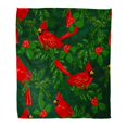 thumbnail image 1 of HATIART Jeter Couverture Chaude Flanelle Impression Confortable Motif Coloré Rouge Cardinal Oiseau Bec Confortable Doux pour Canapé-Lit et Canapé 58x80 Pouces, 1 of 1