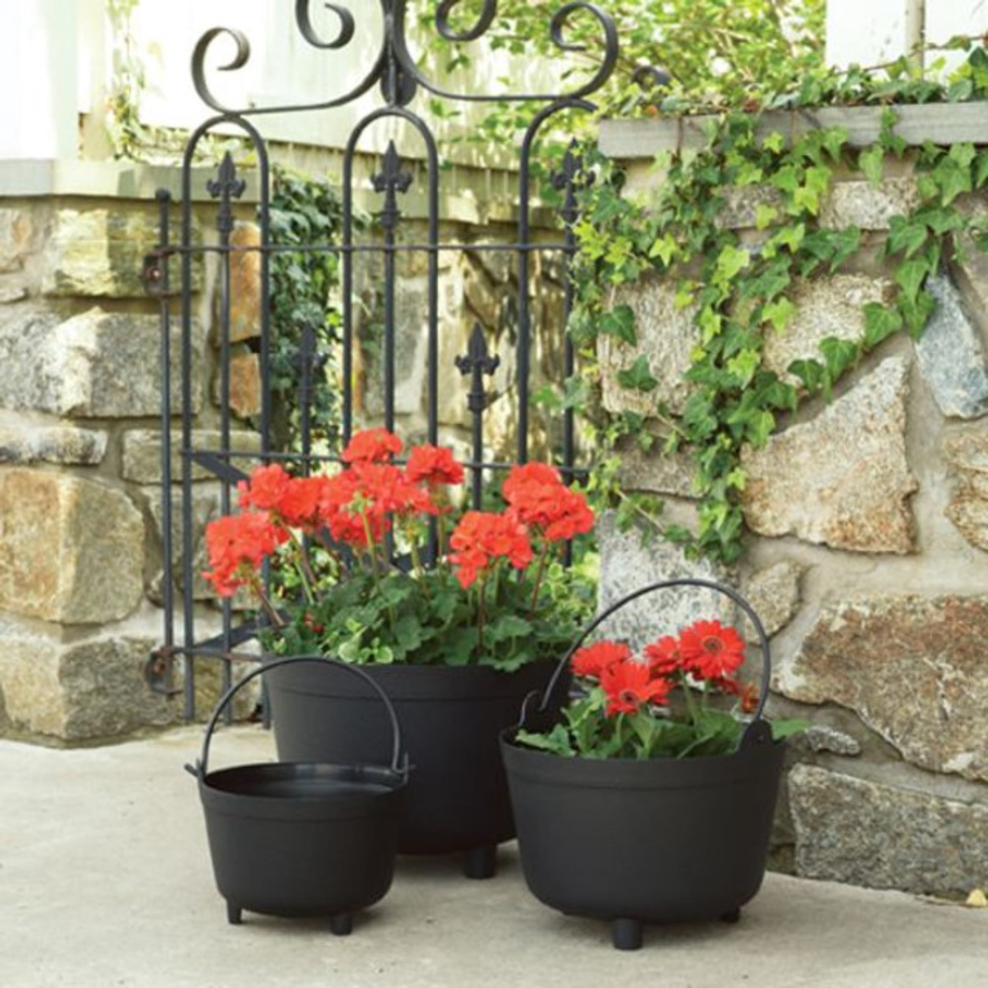 Root & Vessel Antique Kettle Planter, Black, 15"