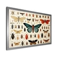thumbnail image 2 of Designart "Insects and Bugs in Blue and Orange" Animals Framed Wall Art Decor - Modern Blue Insects & Bugs Living Room Framed Canvas Art, 2 of 6