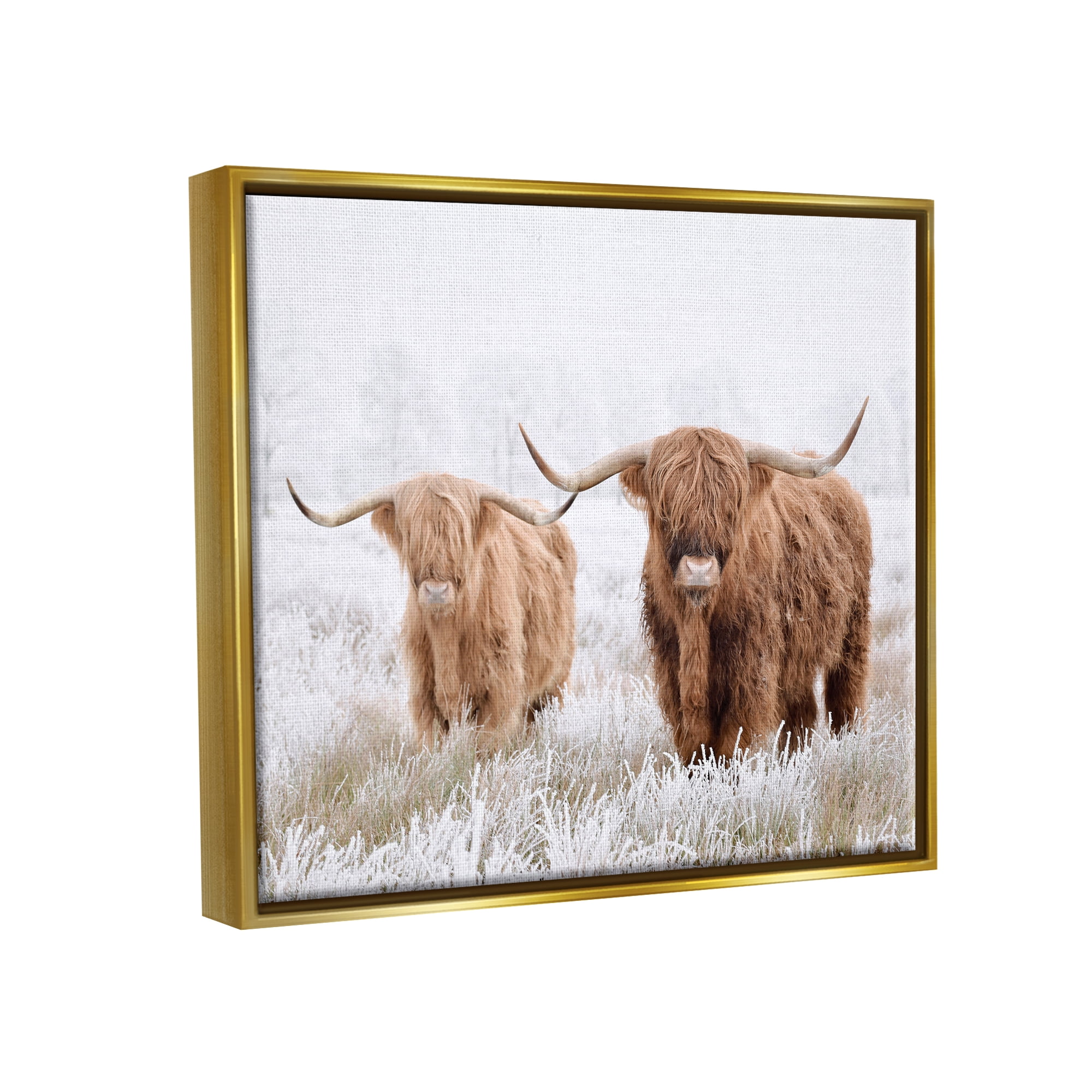 Stupell Industries Longhorn Cows in Snow Animals & Insects Photography Gold Floater Framed Canvas Art Print Wall Art, 21 x 17