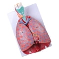 View all media
