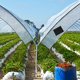 thumbnail image 1 of unbranded Autoadhesiva Para Reparar Plásticos Y Cubiertas De Plantas En Invernadero, 1 of 7