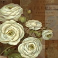 thumbnail image 3 of Gladding, Pamela 20x20 Black Modern Framed Museum Art Print Titled - Patina Ranunculus, 3 of 5