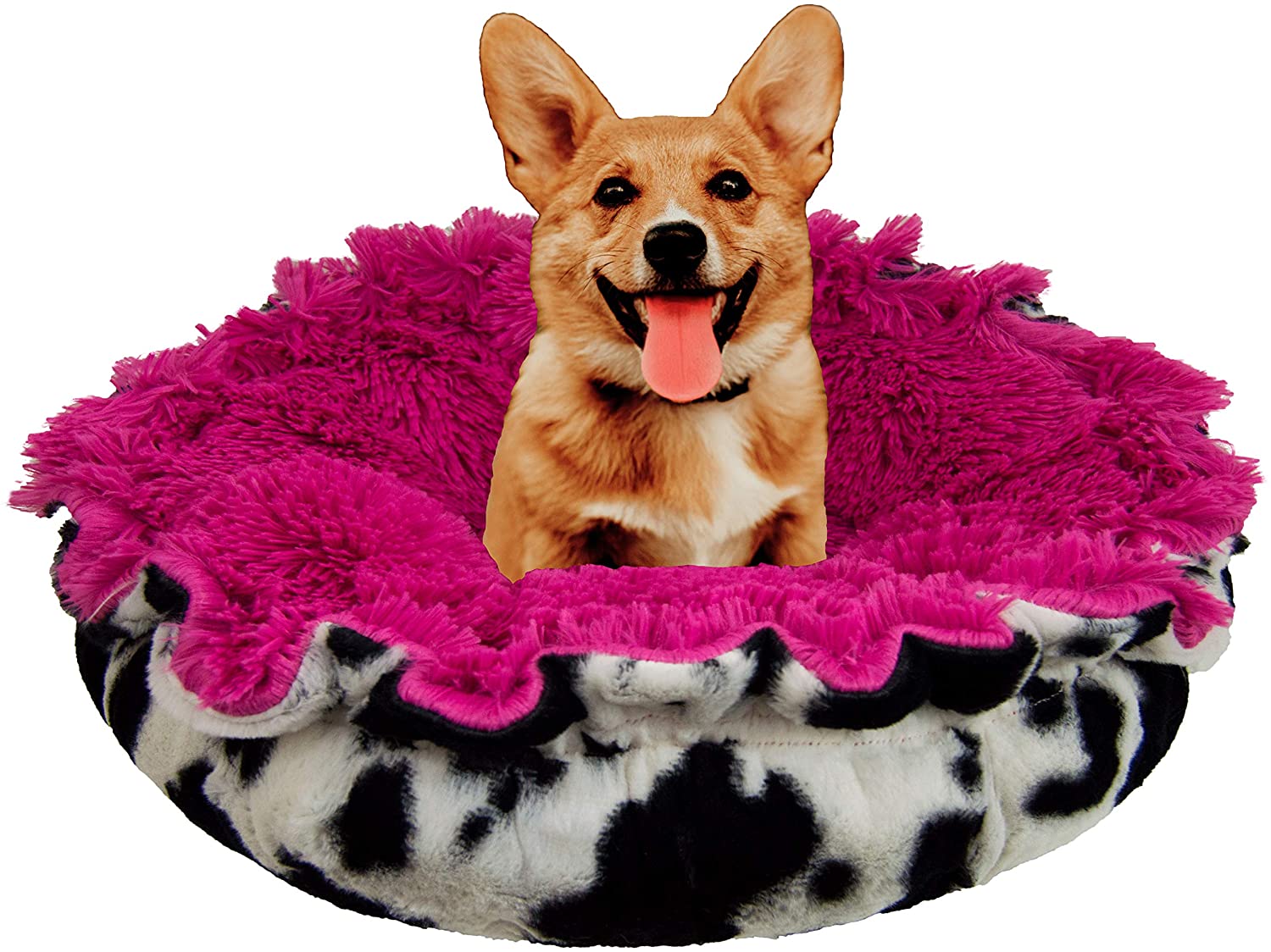 dog pod bed