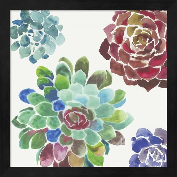 Water Succulents I by Aimee Wilson, Framed Wall Art, 13.25W x 13.25H
