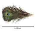 thumbnail image 3 of Plumas de Pavo Real THARAHT 24 piezas Naturales Largas de 40-45 cm para Manualidades, 3 of 7