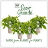 4-Pack, 4.25 in. Eco+Grande, Fire Away Hot and Heavy Hot Pepper (Capsicum) Live Vegatable Plant, Edible Peppers