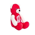 thumbnail image 4 of Liverpool FC Bear Soft Plush Toy, 4 of 4