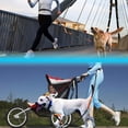 thumbnail image 3 of Correa para perro, correa para perro manos libres mejorada con dos cuerdas elásticas, correa larga de nailon para perro con cinturón ajustable para correr, 3 of 5