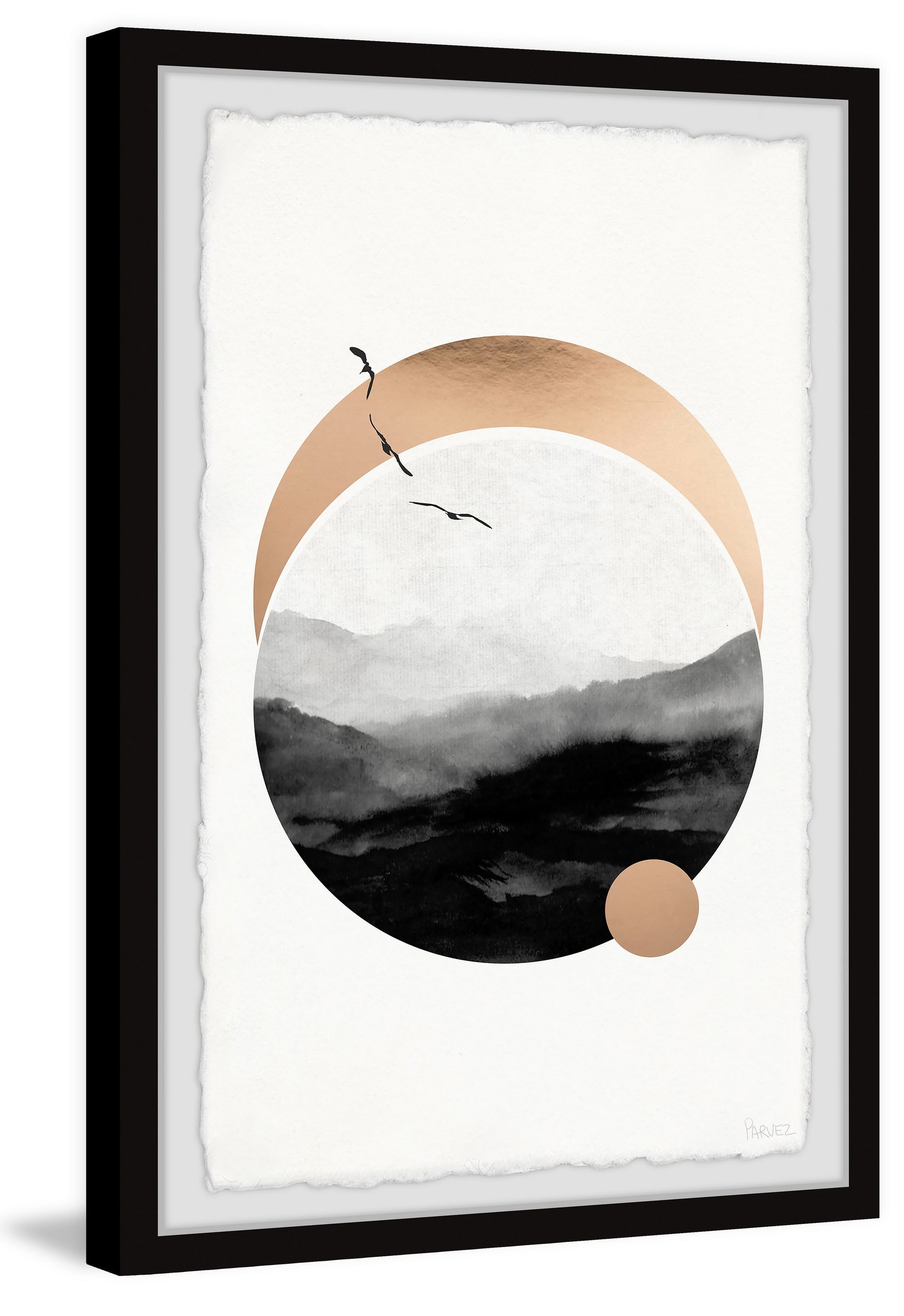 Parvez Taj Bird Landscapes Framed Art Prints