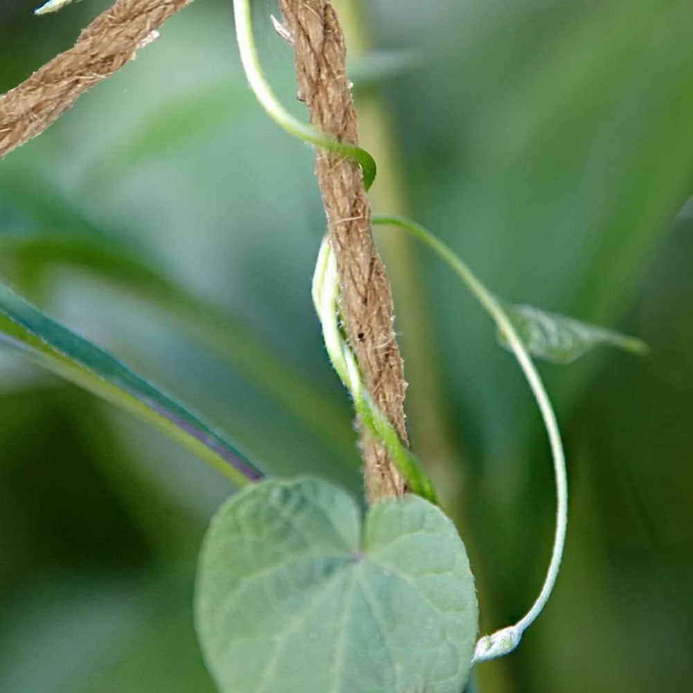 Vintage Jute Rope Plant Support Net Vegetable Balcony Garden Shed Hemp Rope Net 2 X 5M Smile Home