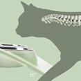 thumbnail image 4 of Uds. Cuenco doble para gatos, cuenco para perros, cuenco para mascotas, alimentación para perros y gatos, 4 of 5