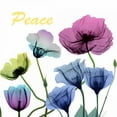 thumbnail image 2 of Koetsier, Albert 26x26 White Modern Wood Framed Museum Art Print Titled - Floral Rainbow Peace, 2 of 4