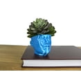 thumbnail image 6 of Clever Contraptions "Pot Head" Succulent Planter Vase - Medium, 6 of 9