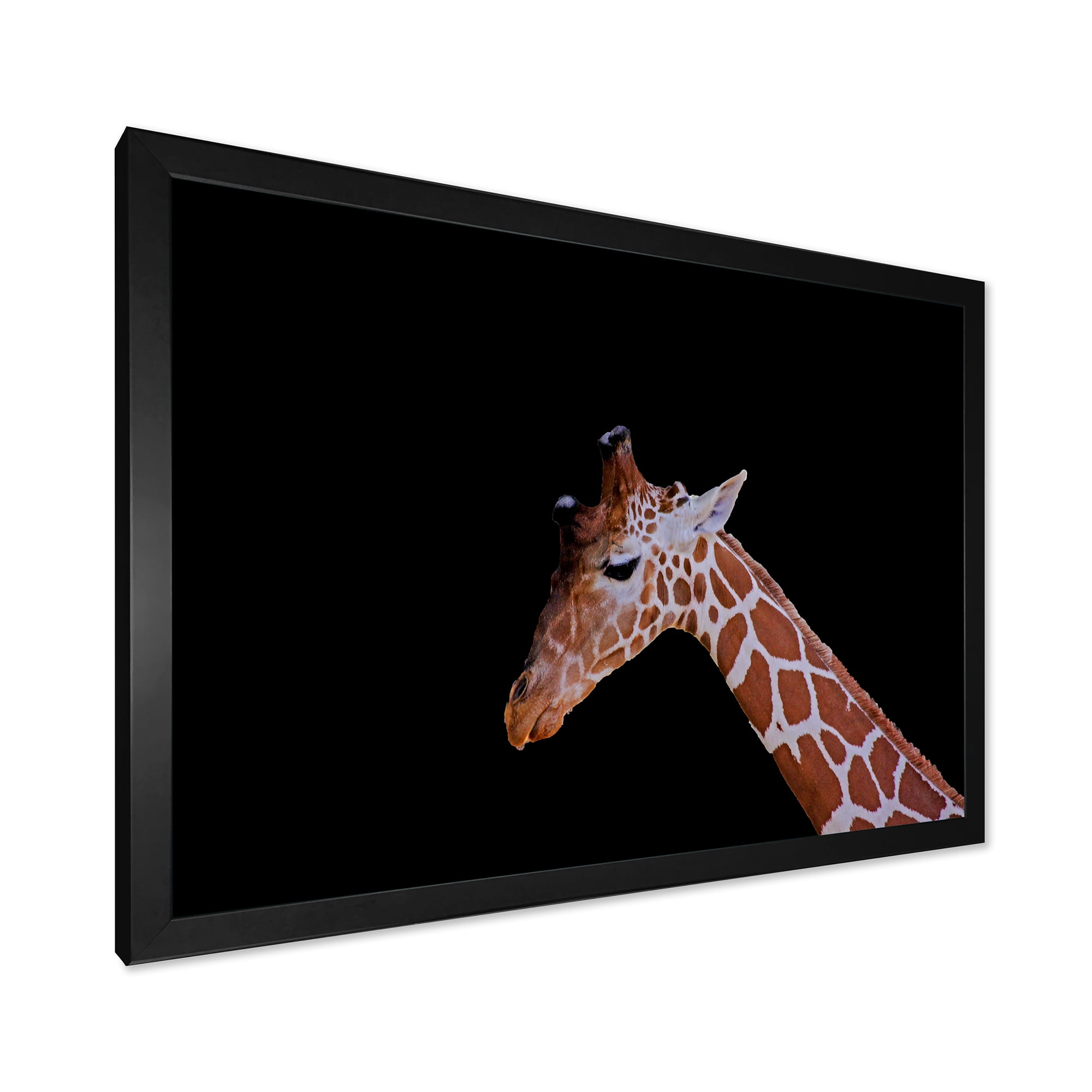 Designart 'Portrait of A Giraffe On Black Background I' Farmhouse Framed Art Print