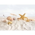 thumbnail image 2 of Starfish and Seashells Beach Wall Decal by Wallmonkeys Peel and Stick Graphic (36 in W x 18 in H) WM124500, 2 of 4