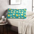 thumbnail image 6 of Zufioo Lemon Blue Print Double-sided Plush Pillow Cover,Decorative Pillow Protector without Pillow Core, Suitable for Sofa, Bedroom, Car-20"x30", 6 of 6