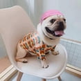 thumbnail image 3 of Pet Dog Helmet Doggy Hard Hat For Puppy Chihuahua Blind Dog Riding, 3 of 4
