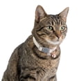 thumbnail image 1 of One Paw, Vegan Leather Safety Cat Collar, Breakaway Buckle, for Cats, 1 of 9
