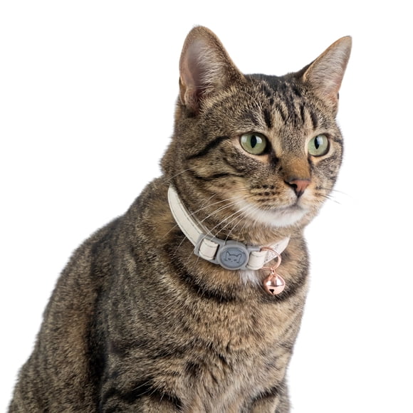 One Paw, Vegan Leather Safety Cat Collar, Breakaway Buckle, for Cats