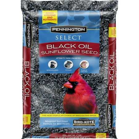 Pennington Select Black Oil Sunflower Seed Wild Bird Feed, 10 lbs