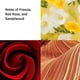 thumbnail image 5 of Set de perfume Elizabeth Arden Red Door Eau de Toilette 100 ml, 5 of 7
