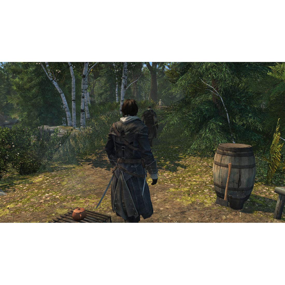 Assassin's Creed Rogue Remastered (PlayStation 4) 5