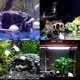 thumbnail image 5 of 1 adorno para acuario, adorno para fregadero de resina, adorno para acuario, casa para peces pequeños, adorno de resina para acuario, 5 of 5