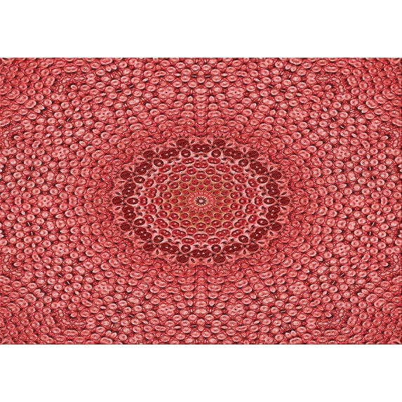 Ahgly Company Machine Washable Indoor Rectangle Transitional Red Area Rugs, 6' x 9'