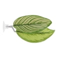 thumbnail image 1 of Camas para peces Betta de Unique Bargains, cama de hoja Betta, almohadilla de hamaca Betta con ventosa, lugar de descanso para peces Betta amarillo y verde, 1 of 7