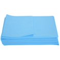 thumbnail image 1 of Sábanas Desechables Para Spa, Salón De Belleza, Masaje, No Tejido, Impermeable, Antiaceite (Azul) 10 Unidades/Bolsa Moyic CE002141-00, 1 of 6