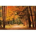 thumbnail image 2 of Jones, Mike 24x17 White Modern Wood Framed Museum Art Print Titled - Autumn Walk, 2 of 4