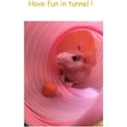 thumbnail image 4 of PEACNNG Small Animal Play Tunnel, Durable Resistant Plastic Guinea Pigs Tube, Fun Pet Tunnel Hideway for Guinea Pigs Chinchillas Rats and Dwarf Rabbits, 4 of 5