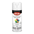 thumbnail image 1 of KRYLON/SHERWIN WILLIAMS KRYLON / SHERWIN WILLIAMS KR5548, 1 of 1