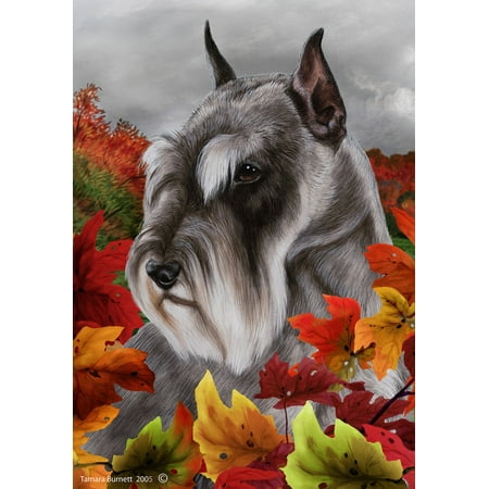 Schnauzer Grey Cropped - Best of Breed Fall Leaves Large