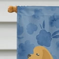 thumbnail image 3 of Carolines Treasures CK6113CHF Cocker Spaniel Welcome Flag Canvas House Size Large multicolor, 3 of 4