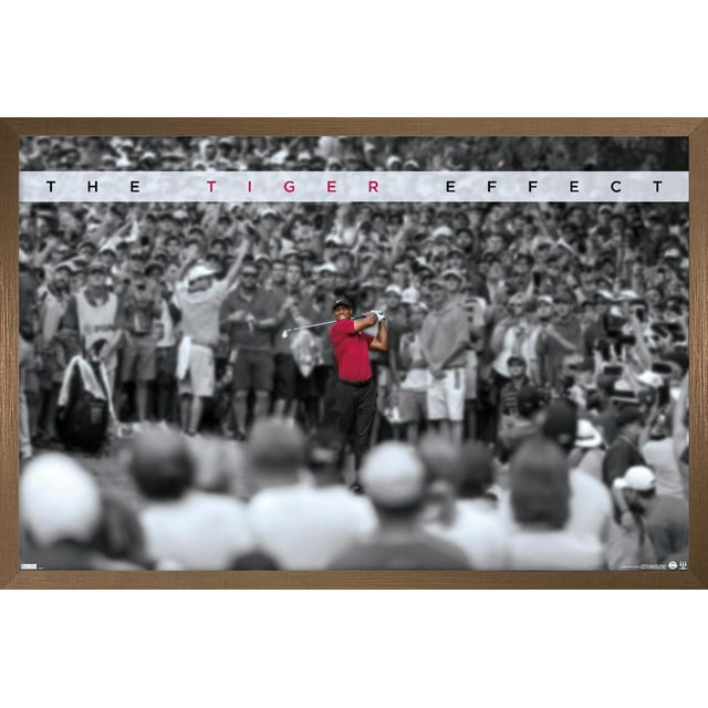 Tiger Woods - L'effet tigre