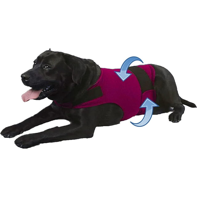 POINTERTECK Dog Anxiety Jacket Skin-Friendly Dog Calming Vest - Dog Shirt for Thunder Fireworks and Separation - Keep Pet Calm Without Medicine & Training Anti Anxiety Vest for Dogs