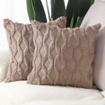 thumbnail image 2 of Paquete de 2 fundas de almohada decorativas de terciopelo de lana corta de felpa suave, funda de cojín de estilo lujoso, funda de almohada para sofá, dormitorio, cuadrado, 2 of 7
