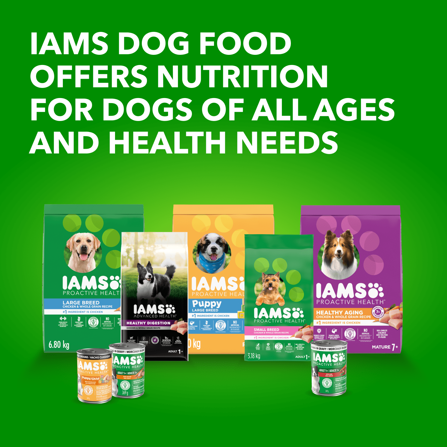 IAMS Proactive Health Chicken & Rice Adult Wet Dog Food