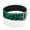 Green Silver, variant on Luxurious Lizard Leather Bracelet – Handcrafted Accessory with Unique Texture and Timeless Appeal (Brown (Gold))