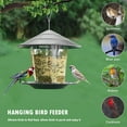 Pluokvzr Bird Feeder,Bird Feeding Station Hanging Transparent Large