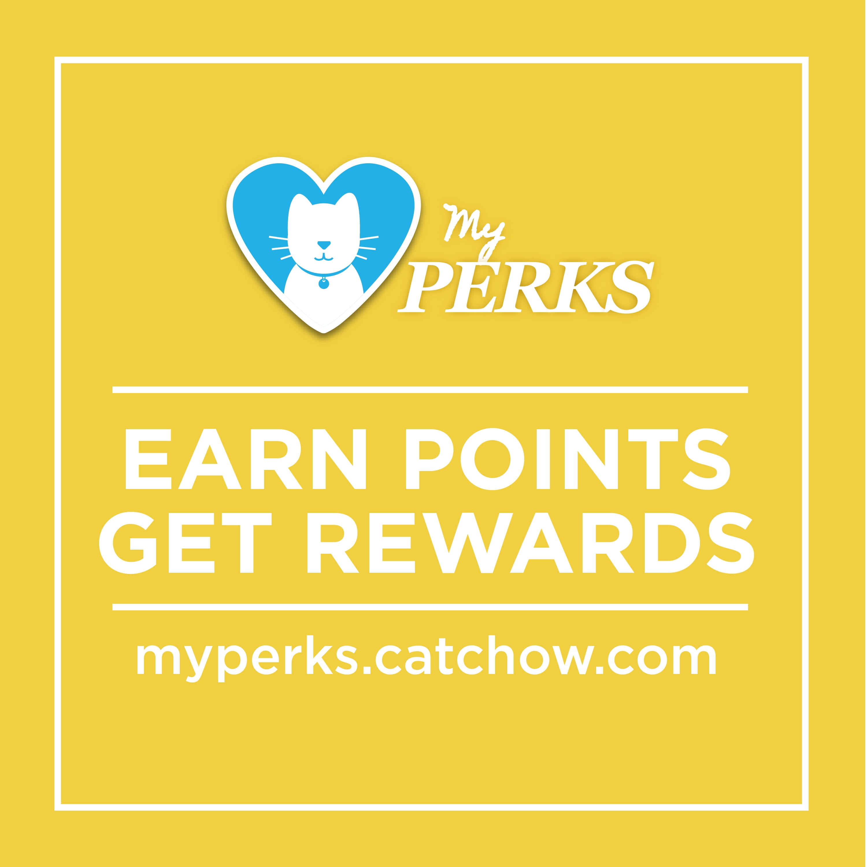 purina kitten chow serving size