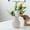 A, variant on Hydroponic Ceramic Vase | Elegant Water-Holding Decorative Vessel | High-Quality Durable Construction | Refined Minimalist Design | for Living Room Office Centerpiece | 16x12x12cm | 1 Piece