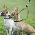 thumbnail image 3 of Leashes for Reflective Double Ended Retractable Performance Leash for Dogs and Cats with Nylon Build and Outdoor Versatility, 3 of 3